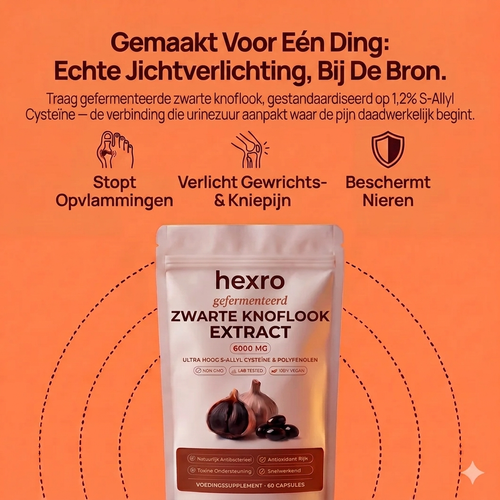Gefermenteerd Zwarte Knoflookextract