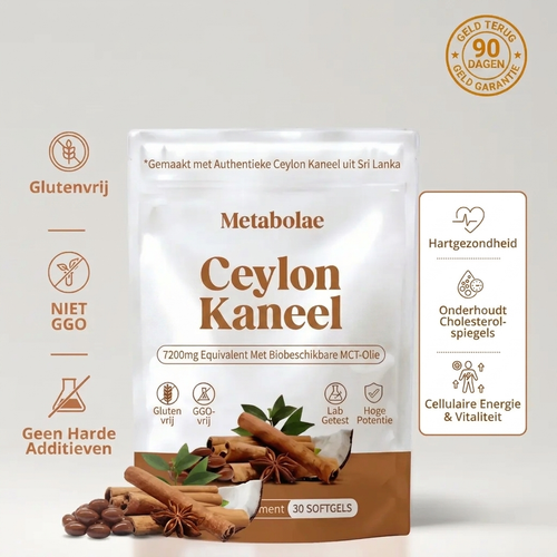 Ceylonkaneel 7200 mg Equivalent met MCT-olie